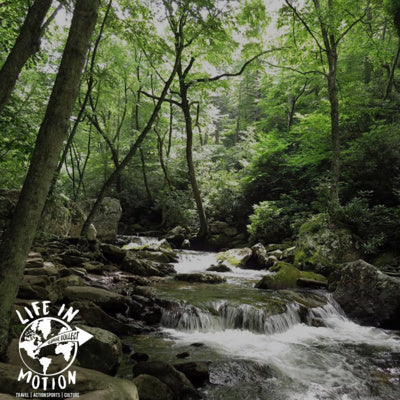 Keeping Virginia Wild and Green: An interview with Katie Keller of Wild Virginia