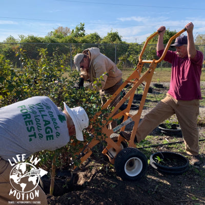 230,000 Trees And Counting - The benefits of reforestation and tree canopy with Jesse Stuart of Forest ReLeaf of Missouri