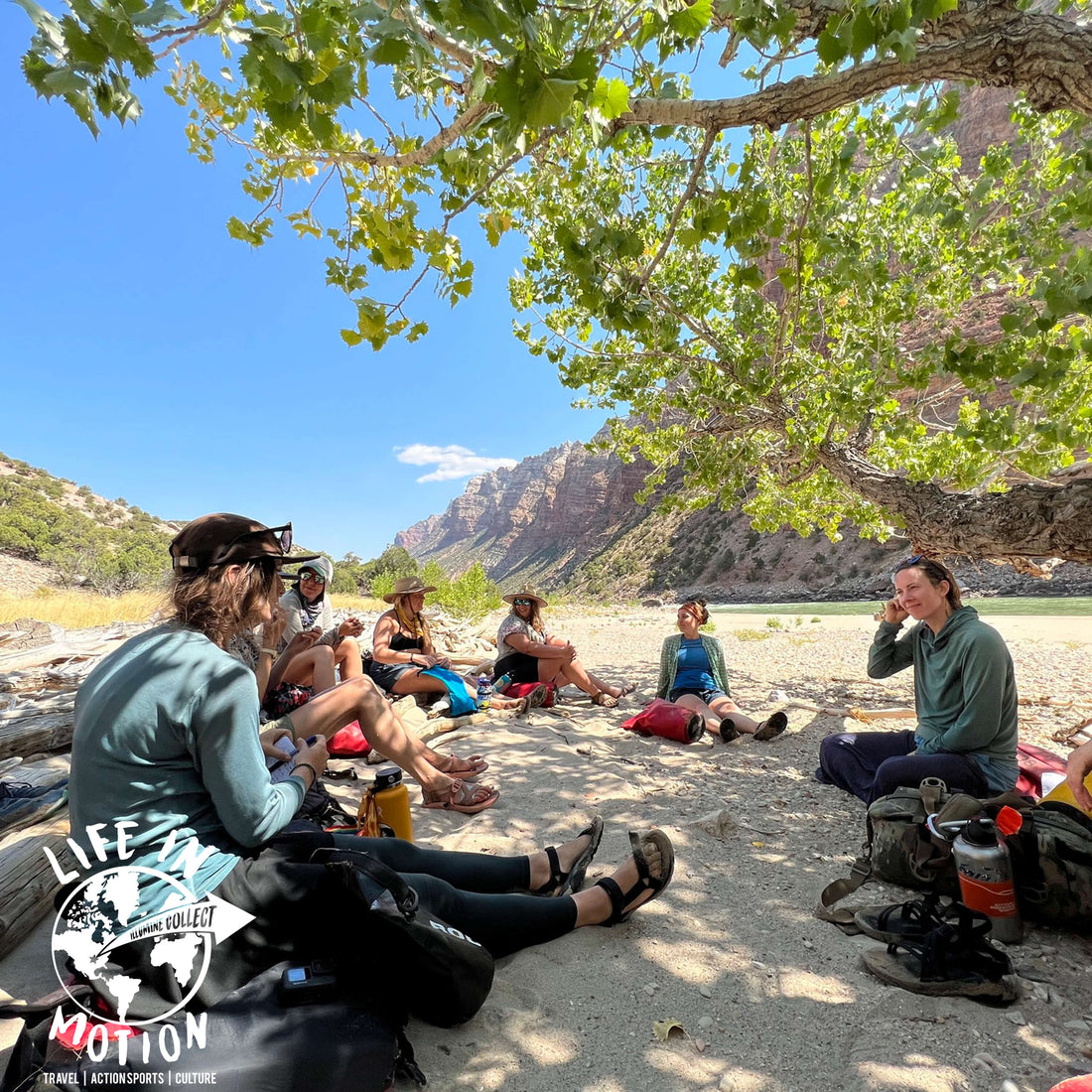 Creative Freedom in the Wild: Exploring the Freeflow Institute with Chandra Brown