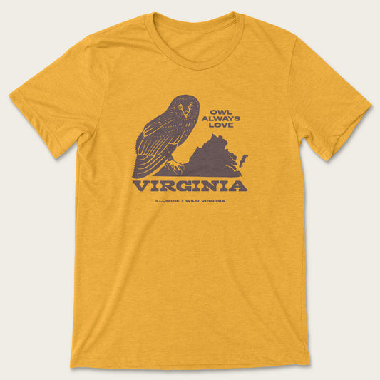Owl Love Tee - Heather Mustard