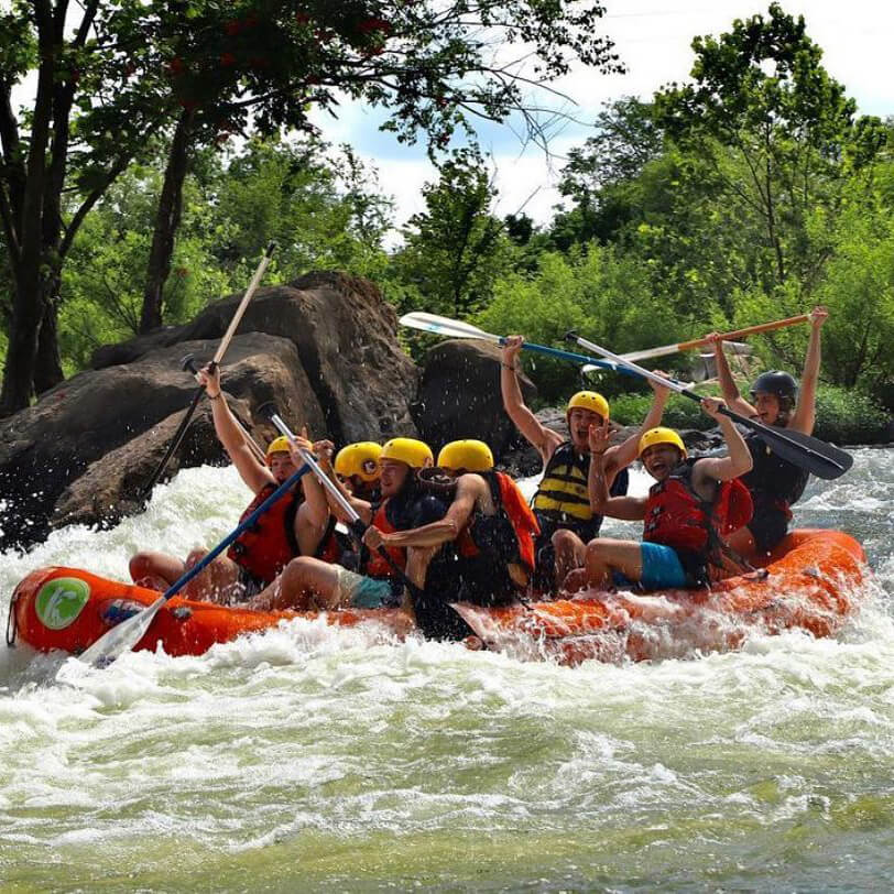 The Community Collection