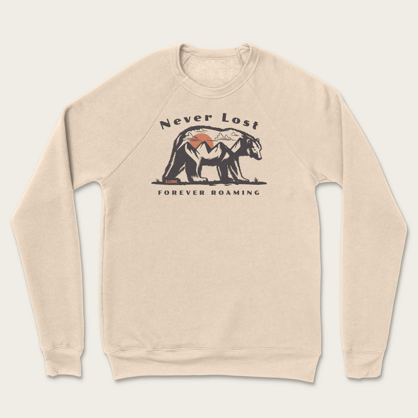 Never Lost Sweatshirt - Heather Dust